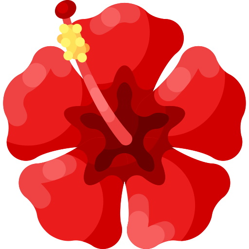 Hibiscus Flower